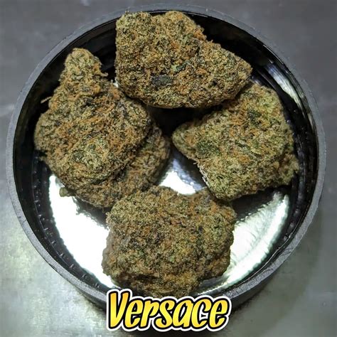 versace og|Versace Marijuana Strain Information & Reviews .